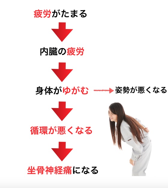 水戸で坐骨神経痛改善で人気の整体CURAが考える原因