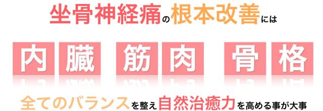 坐骨神経痛の根本改善には全てのバランスが大事です。