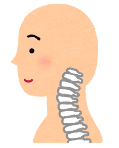 首こりや痛みの関係する斜頸、環椎、軸椎は車軸の役割