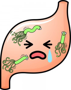内臓疲労からの肩こり、胃は殺菌作用がある