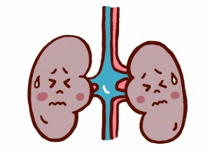 内臓疲労からの肩こり、腎臓病