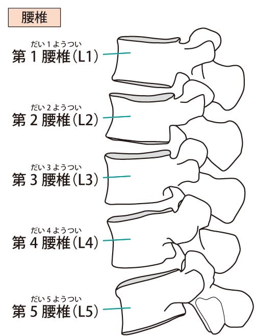 ストレートネックによる不調