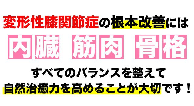 変形性膝関節症の根本改善には全てのバランスが大事です。