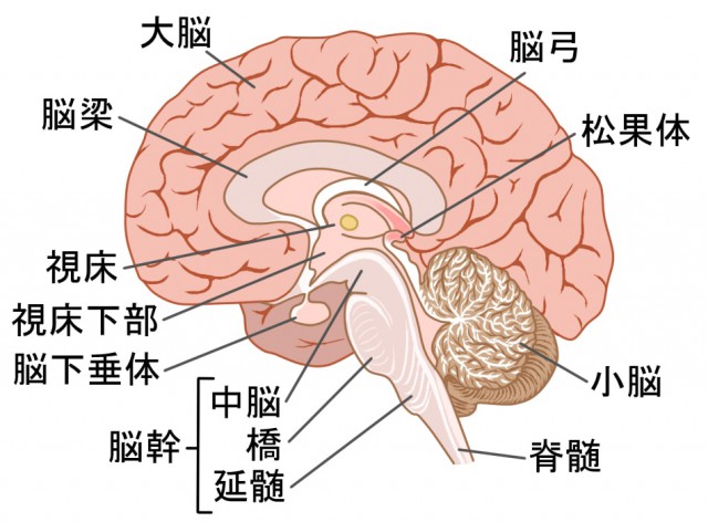 むずむず脚症候群の原因とは？