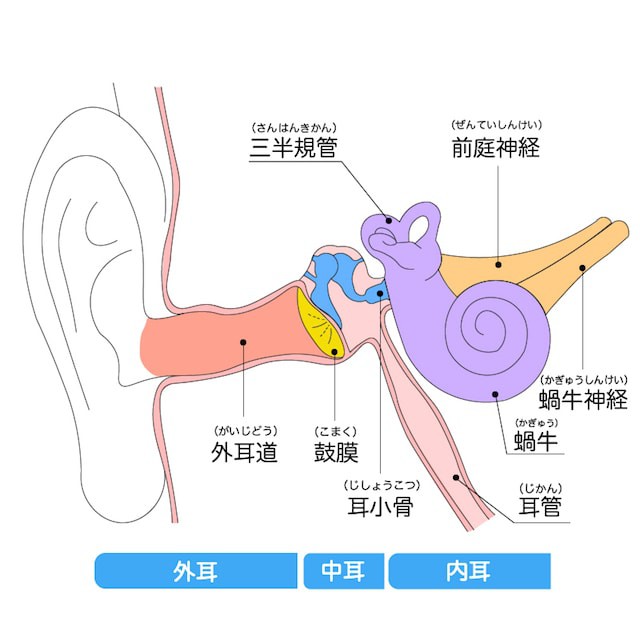 メニエール病の原因とは?