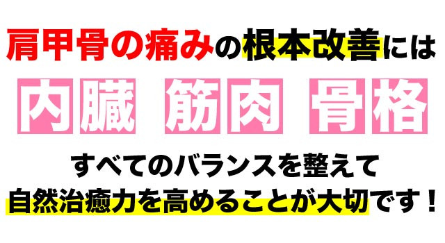 肩甲骨の痛みの根本改善には全てのバランスが大事です。